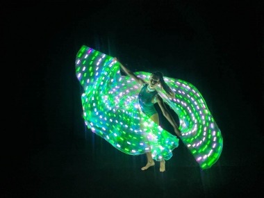 LED Light Wings
